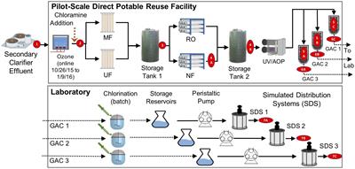 The Water Microbiome Through a Pilot Scale Advanced Treatment Facility for Direct Potable Reuse